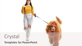  Presentation with poodle - Beautiful PPT theme featuring full-length-portrait backdrop and a lemonade colored foreground