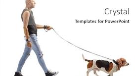  Presentation with basset hound - Amazing presentation theme having profile shot of a bald backdrop and a white colored foreground