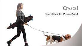  Presentation with basset hound - Audience pleasing slide deck consisting of full-length-profile-shot backdrop and a white colored foreground