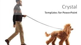  Presentation with poodle - Theme featuring full-length-profile-shot background and a white colored foreground