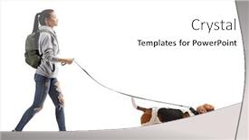  Presentation with basset hound - Slide deck having full-length-profile-shot background and a white colored foreground