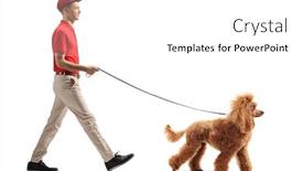  Presentation with poodle - Audience pleasing PPT layouts consisting of full-length-profile-shot backdrop and a white colored foreground