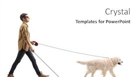  Presentation with blind - Amazing slide set having full-length-profile-shot backdrop and a white colored foreground