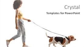  Presentation with basset hound - Slide deck having full-length-profile-shot background and a white colored foreground