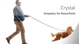  Presentation with poodle - Slide set enhanced with full-length-profile-shot background and a white colored foreground