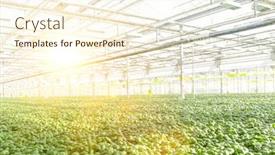  Presentation with lens - Slides consisting of full-length-view-of-herbs background and a cream colored foreground