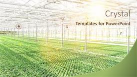  Presentation with lens - Beautiful theme featuring full-length-view-of-herbs backdrop and a cream colored foreground