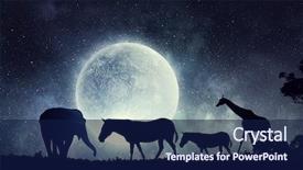  Presentation with safari animals - Slides enhanced with full moon - natural safari landscape and animals background and a navy blue colored foreground