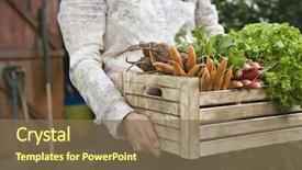 Presentation with lettuce in the vegetable garden - Slide set with full of freshly harvested vegetables background and a violet colored foreground