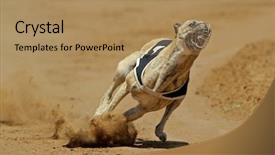  Presentation with greyhound race - Cool new presentation with full speed during a race backdrop and a coral colored foreground