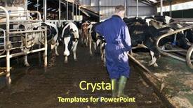  Presentation with dairy - PPT theme featuring close-up of an adorable african boy dressed in a warm brown and green jacket with his young pregnant mother wearing an orange striped shirt standing behind him protectively in the outdoors background and a tawny brown colored foreground