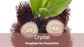  Presentation with rambutan - PPT theme with fun-face-of-rambutan-fruit background and a coral colored foreground