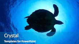  Presentation with deep sea - Colorful PPT layouts enhanced with fun in a tropical sea backdrop and a teal colored foreground