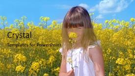  Presentation with rapeseed - Cool new presentation theme with fun in rapeseed field backdrop and a  colored foreground