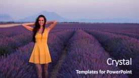  Presentation with lavander - Presentation enhanced with fun on purple flower lavander background and a  colored foreground