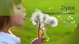  Presentation with dandelion - Amazing PPT theme having fun with dandelions backdrop and a gold colored foreground