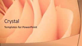  Presentation with funeral - Slide set consisting of funeral loving - close up of orange rose background and a coral colored foreground