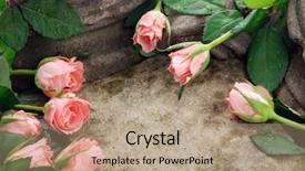  Presentation with funeral roses - Beautiful PPT theme featuring funeral memorial - pink roses composition on stones backdrop and a coral colored foreground