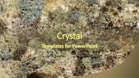  Presentation with fungal infection - Beautiful slides featuring fungal infection - black bread mold rhizopus stolonifer backdrop and a violet colored foreground