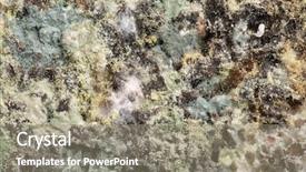  Presentation with fungal infection - Cool new slides with fungal infection - bread mold low scale magnification backdrop and a  colored foreground