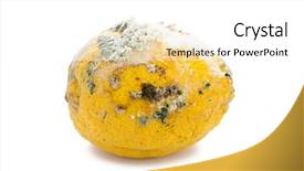  Presentation with fungal infection - Colorful slide set enhanced with fungal infection - rotten lemon close-up isolated backdrop and a white colored foreground