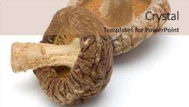  Presentation with fungi - Amazing slide deck having fungi - dried shiitake mushroom isolated backdrop and a coral colored foreground