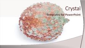  Presentation with fruit lychee - Colorful slide deck enhanced with fungi - one rotten lychee fruit isolated backdrop and a lemonade colored foreground