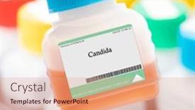  Presentation with candida - Presentation enhanced with fungi-such-as-candida background and a coral colored foreground