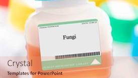  Presentation with candida - Presentation with fungi-such-as-candida background and a coral colored foreground