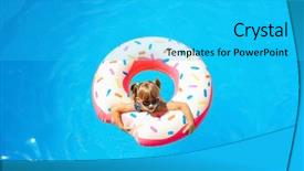  Presentation with swimming beautiful girl swims underwater - Colorful slides enhanced with funky kids - cute little girl with inflatable backdrop and a  colored foreground