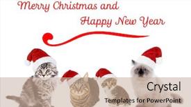  Presentation with merry christmas - PPT theme enhanced with funny christmas cats merry christmas background and a coral colored foreground