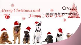  Presentation with merry christmas and new year - Colorful theme enhanced with funny christmas dogs merry christmas backdrop and a lemonade colored foreground