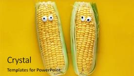  Presentation with teal and yellow wallpaper - Audience pleasing PPT theme consisting of funny corns on yellow background backdrop and a  colored foreground