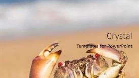  Presentation with alien - Audience pleasing PPT layouts consisting of funny crab alien creature backdrop and a coral colored foreground