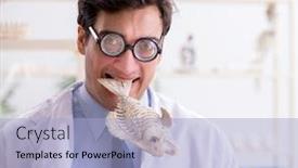  Presentation with skeletons - Presentation theme consisting of funny-crazy-professor-studying-animal background and a light blue colored foreground