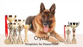  Presentation with trophy - PPT theme with funny cute dog with trophy cups and medals isolated on white background and a coral colored foreground