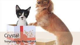  Presentation with dog christmas - Audience pleasing slide deck consisting of funny dog comic - puppy and kitten backdrop and a coral colored foreground