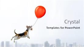  Presentation with funny - Cool new PPT theme with funny-dog-friend-mixed-media backdrop and a sky blue colored foreground