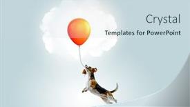  Presentation with funny - Presentation theme featuring funny-dog-friend-mixed-media background and a sky blue colored foreground