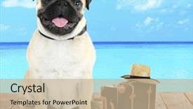  Presentation with dog templqtes - Presentation theme featuring funny dog tourist with suitcase background and a mint green colored foreground