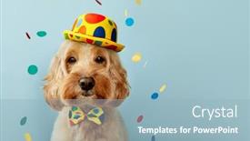  Presentation with birthday party - Presentation design featuring funny-dog-wearing-a-clown background and a light blue colored foreground