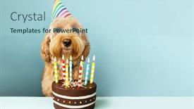  Presentation with cake dog - PPT layouts with funny-dog-with-birthday-cake background and a light blue colored foreground