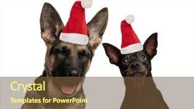  Presentation with sad dog abandoned dogs - Presentation having funny dogs wearing santa claus background and a tawny brown colored foreground