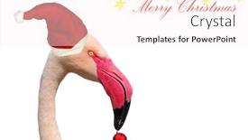  Presentation with flamingo - Cool new presentation with pink flamingos beautiful graceful bird - funny flamingo with santa hat backdrop and a sky blue colored foreground