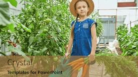  Presentation with holidays - 