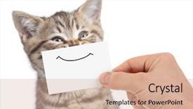  Presentation with cat - Cool new PPT layouts with funny happy young cat portrait backdrop and a coral colored foreground