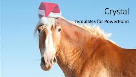 Presentation with horse sales - Cool new theme with funny image of a belgian backdrop and a light blue colored foreground