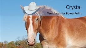  Presentation with cowboy hat - Audience pleasing slide deck consisting of funny image of a blond backdrop and a light blue colored foreground