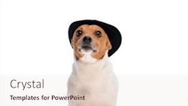  Presentation with russell - 