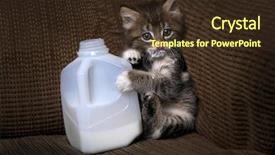  Presentation with milk - Slide deck enhanced with funny kitten drinking milk background and a tawny brown colored foreground